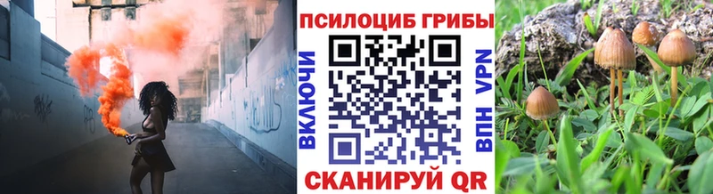 наркошоп  Дербент  Галлюциногенные грибы ЛСД 